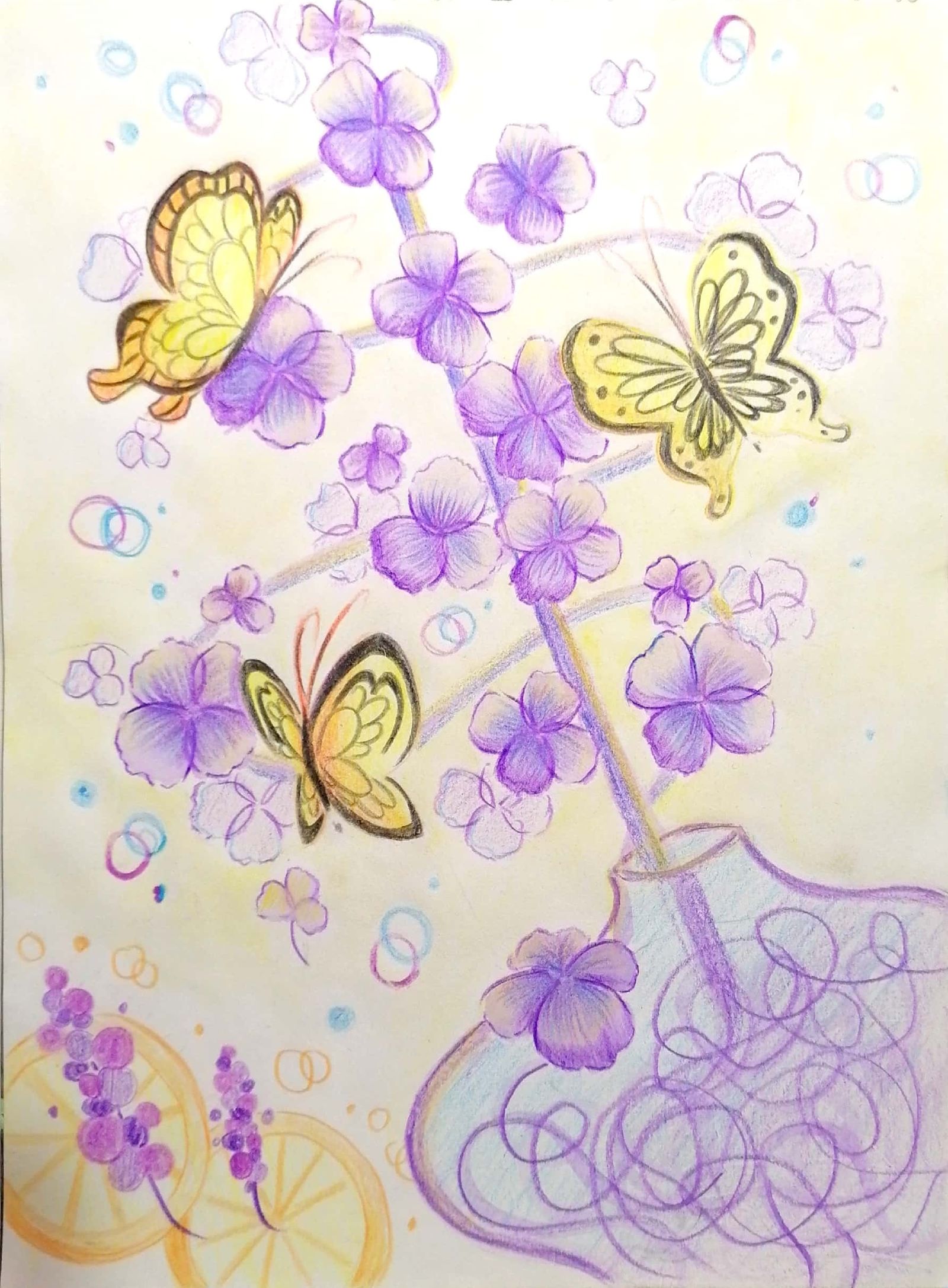 蝴蝶与花-色彩系植物