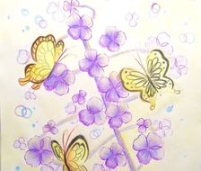 蝴蝶与花-色彩系植物