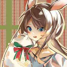 圣诞兔兔插画图片壁纸