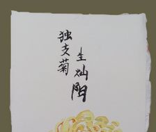 独支菊-水彩水墨