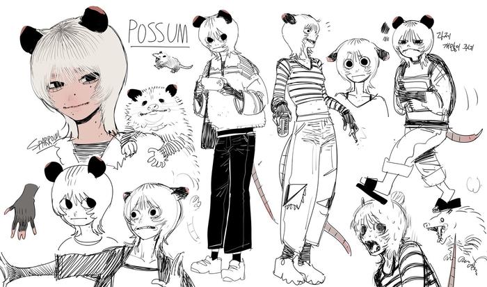 Possum插画图片壁纸