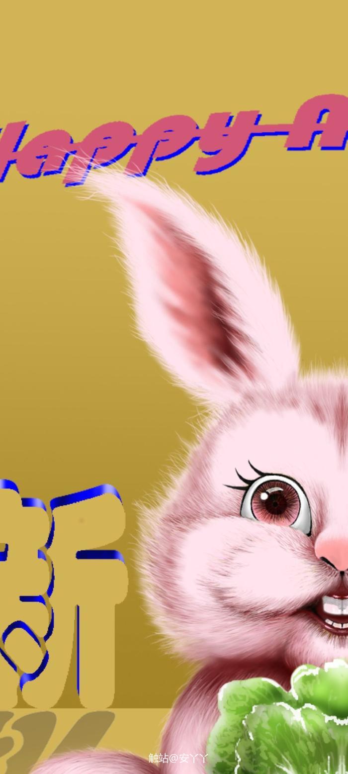 新年快乐兔插画图片壁纸
