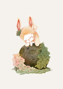 朋友说这张小兔子可以做书本封面插画图片壁纸
