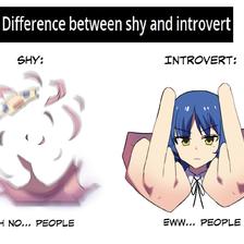 Shy vs Introvert插画图片壁纸