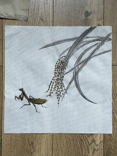 螳螂和麦穗（一）插画图片壁纸
