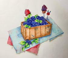 蓝莓-水彩插画原创