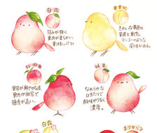 小鸟×桃子的品种-桃食物