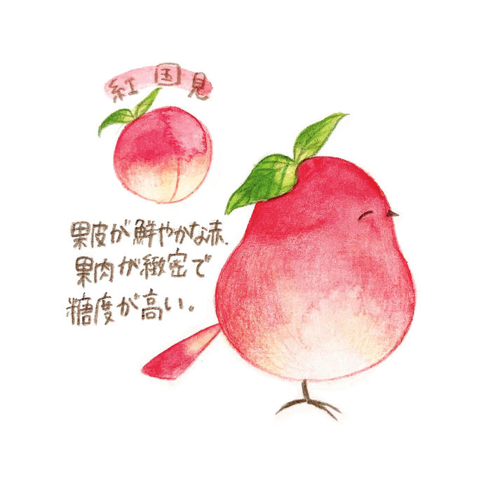 小鸟×桃子的品种插画图片壁纸