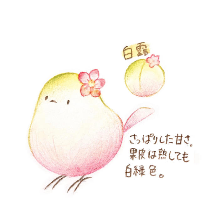 小鸟×桃子的品种插画图片壁纸