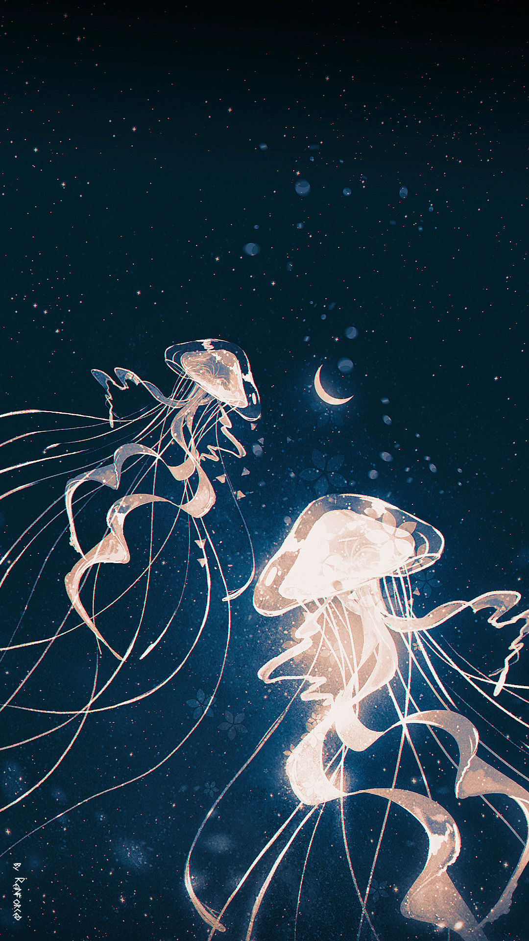 jellyfish插画图片壁纸