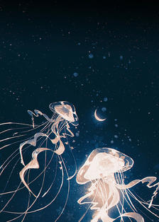 jellyfish插画图片壁纸