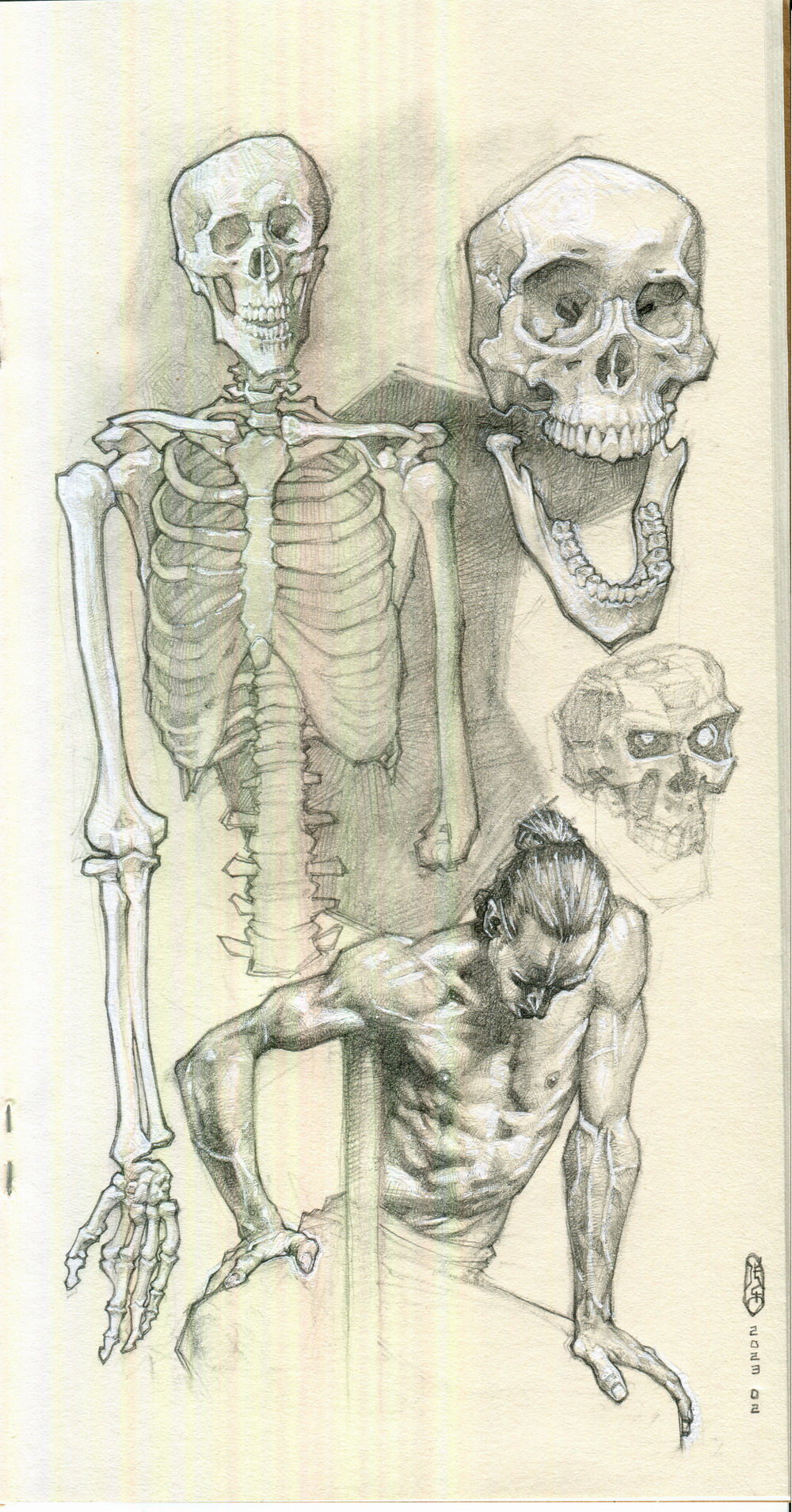 2023.2-原创人体骨骼