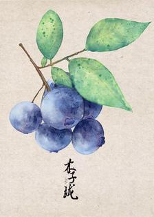 水彩蓝莓插画图片壁纸