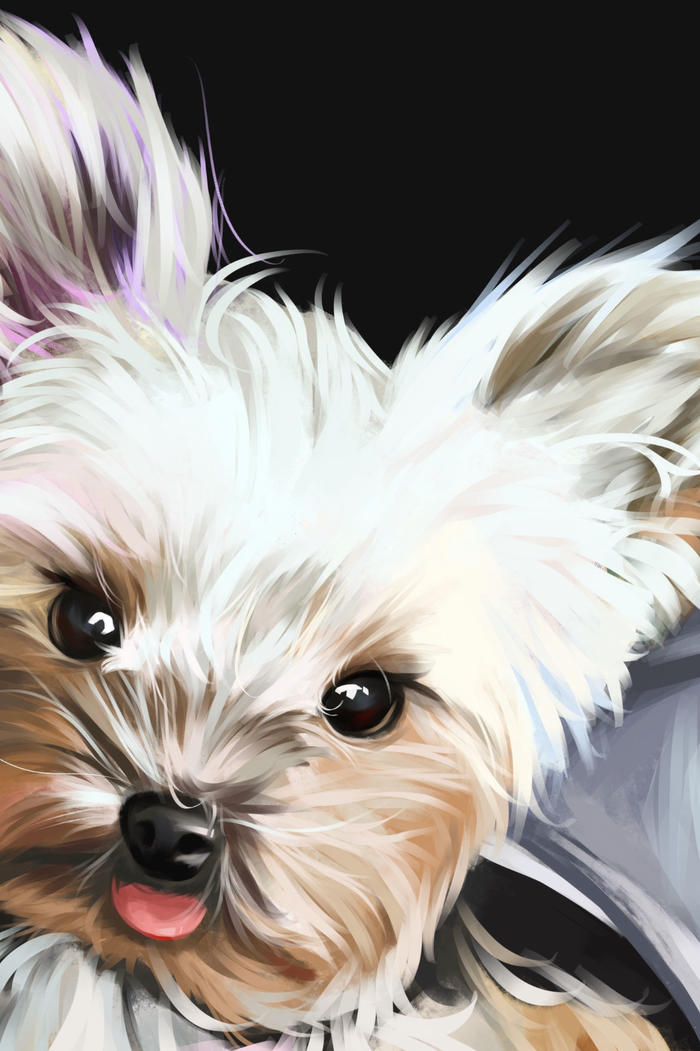 【宠物肖像】狗狗篇～插画图片壁纸