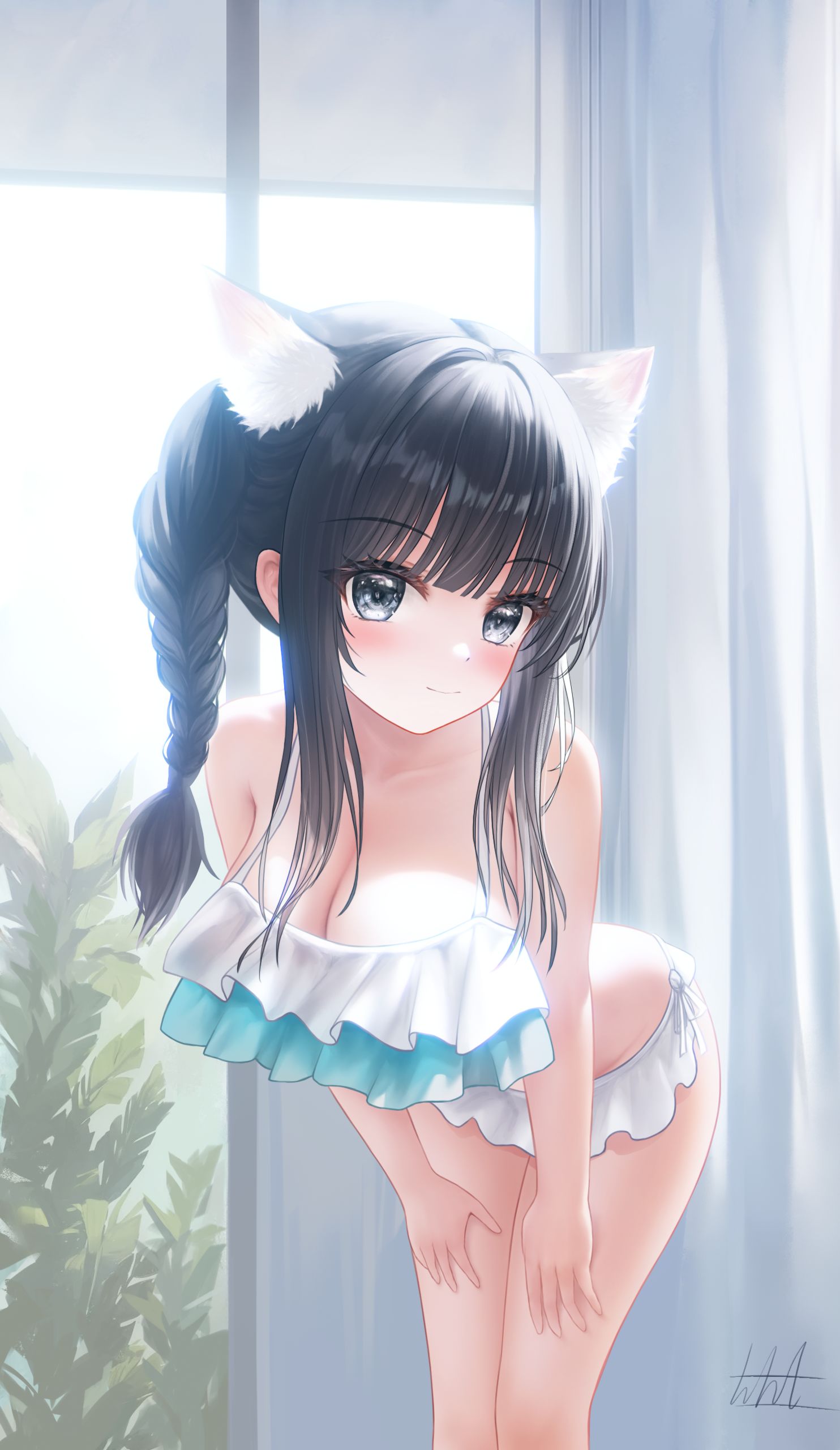 猫插画图片壁纸