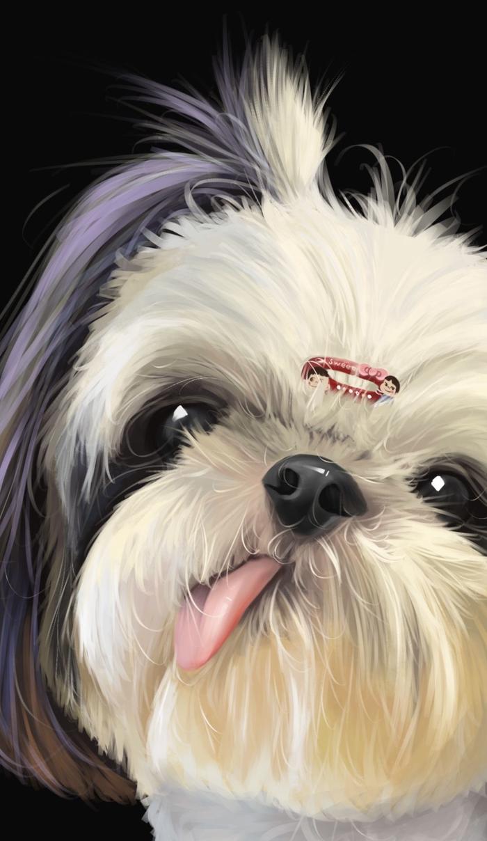 【宠物肖像】可爱小狗！插画图片壁纸