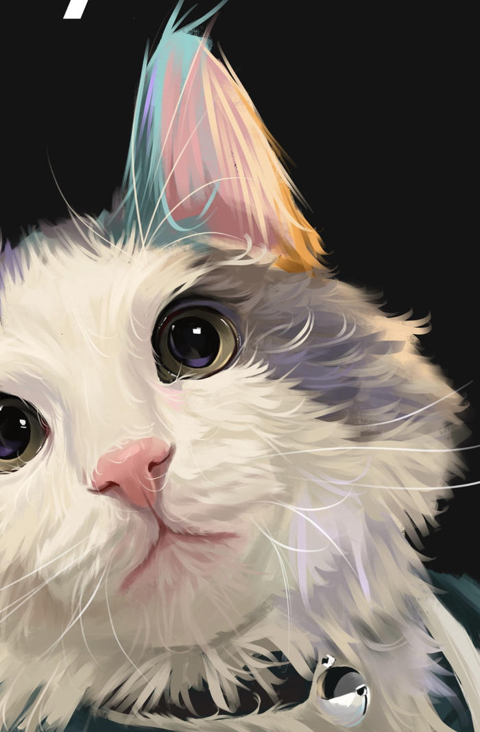 【宠物肖像】蓝白长毛猫～插画图片壁纸
