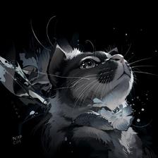 黑色背景下的猫插画图片壁纸