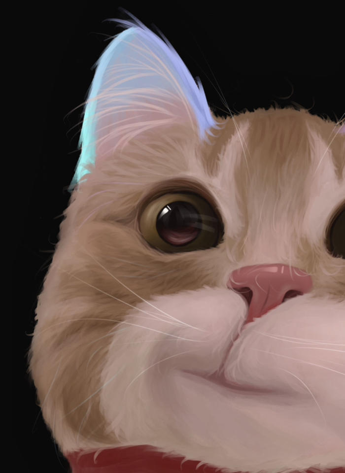 【宠物肖像】歪嘴小猫篇～插画图片壁纸
