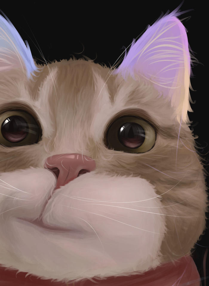 【宠物肖像】歪嘴小猫篇～插画图片壁纸