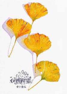 银杏叶🍂插画图片壁纸