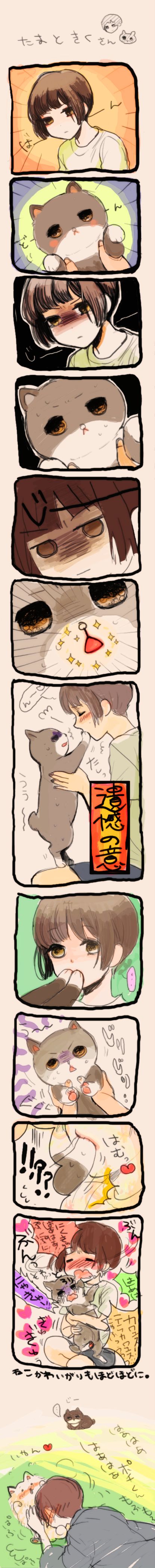 【黑塔利亚】小玉和菊+小宝【猫啊】插画图片壁纸