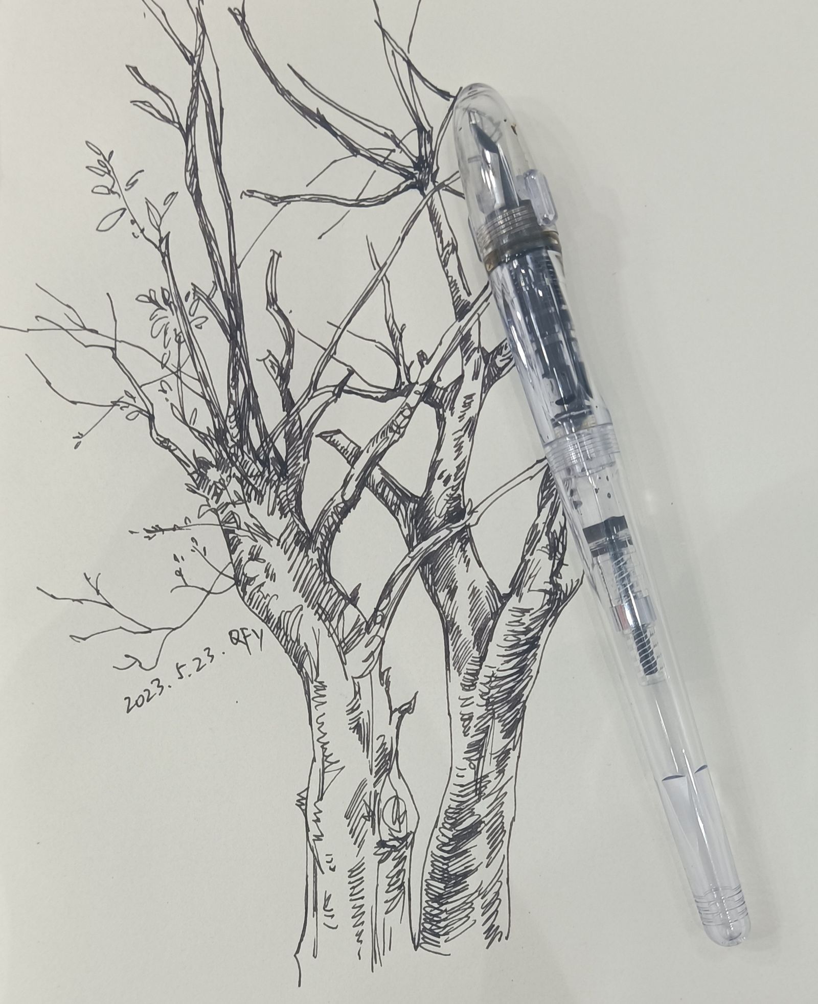 树-原创手绘
