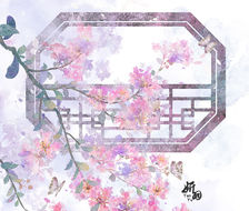 紫薇花-水彩花卉插画