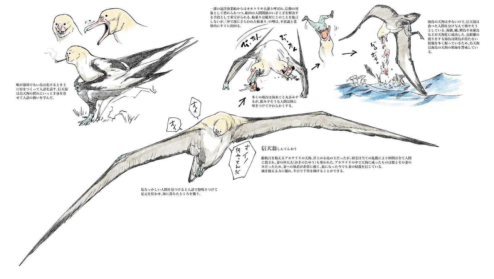 鳥妖插画图片壁纸