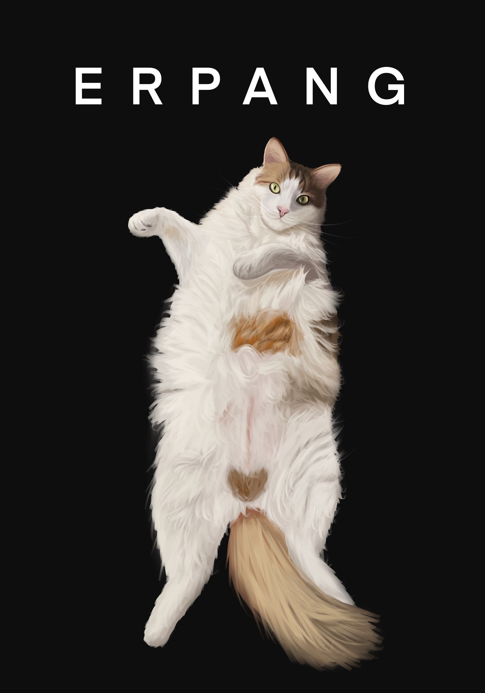 【宠物肖像】猫猫篇～插画图片壁纸