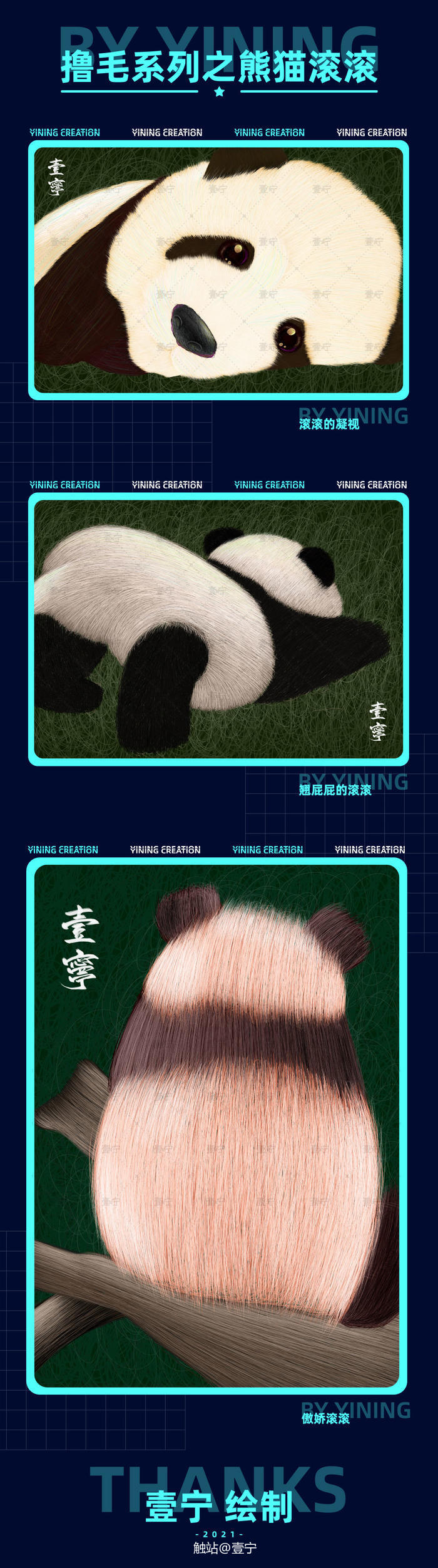 【线圈插画】撸毛系列之熊猫滚滚插画图片壁纸