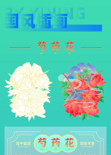 【国风插画】芍药与菊花插画图片壁纸