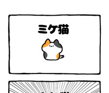 no.2073《奇猫》-cat三毛猫