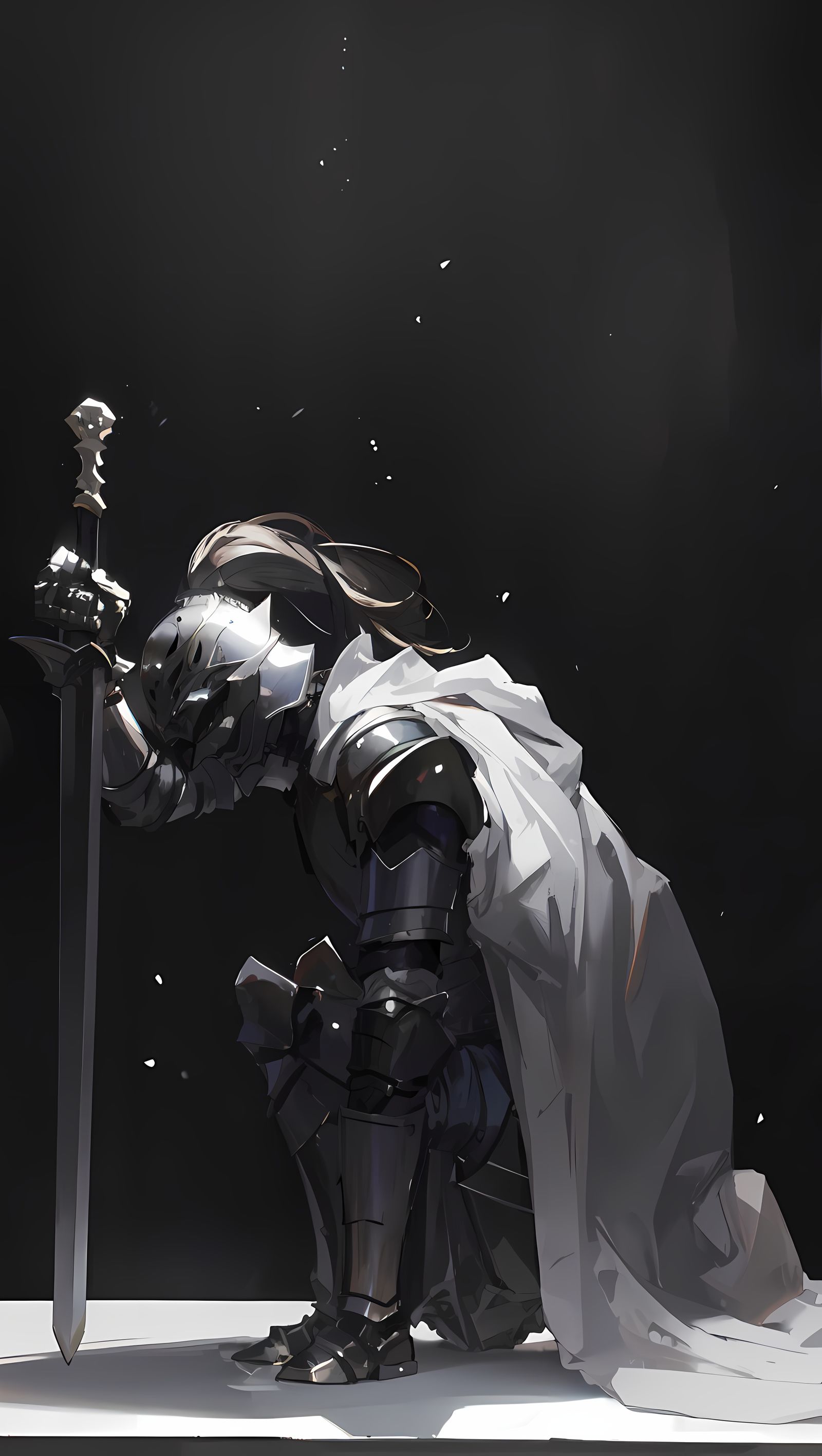 骑士-二次元骑士