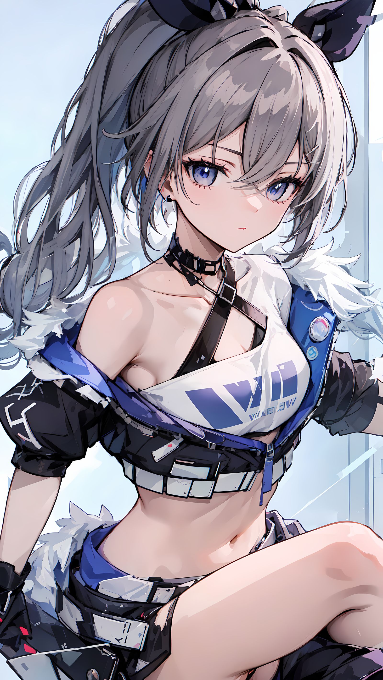 ，-二次元小银狼