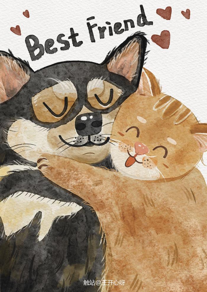 动物速写|猫朋狗友的快乐插画图片壁纸