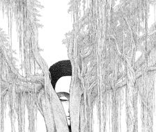 树-插画黑白
