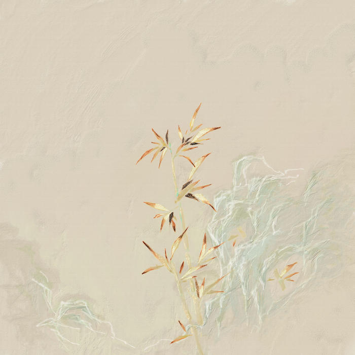 梅兰竹菊插画图片壁纸