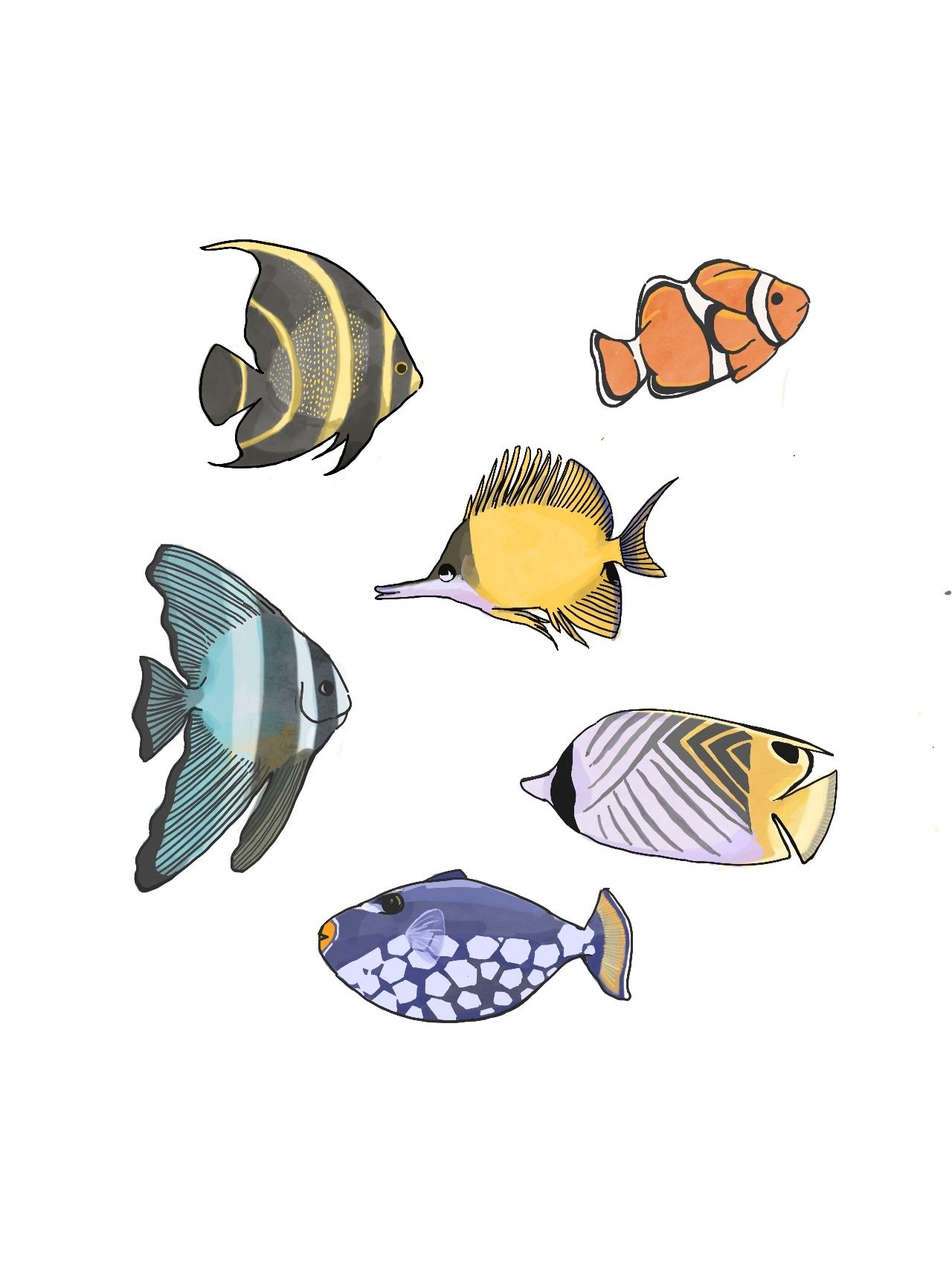 海洋系列鱼插画图片壁纸