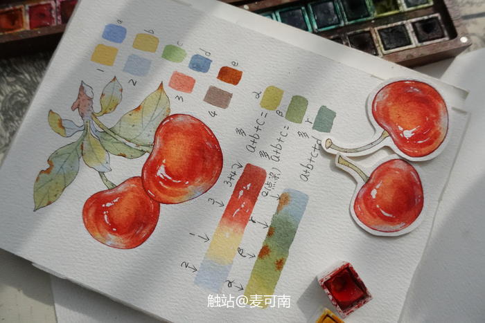 水彩——樱桃插画图片壁纸