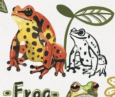 动物速写|青蛙&蜥蜴科普