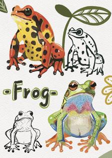 动物速写|青蛙&蜥蜴科普插画图片壁纸