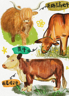 动物速写｜可爱的牛牛头像同人高清图