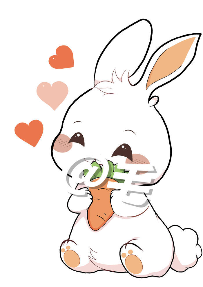 可爱兔插画图片壁纸