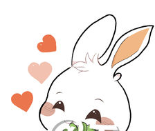 可爱兔-原创兔子