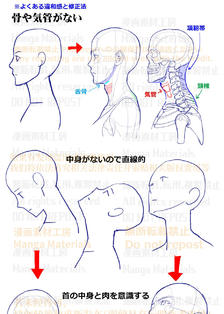 个人注：颈骨和气管的位置头像同人高清图