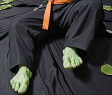 绿巨人-🔥通用模型五稜結人