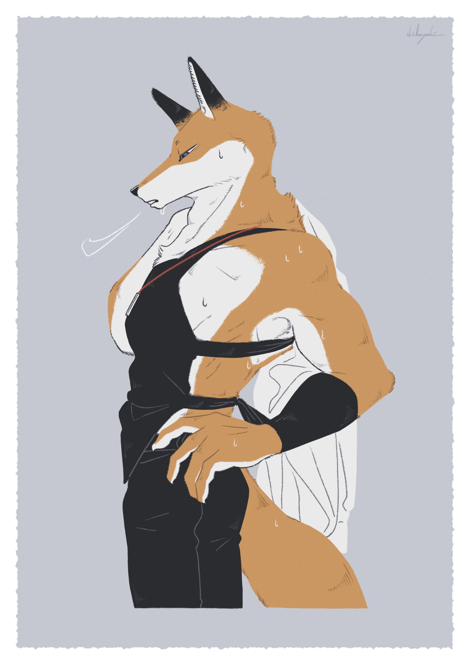 【undress】脱下来的狐狸插画图片壁纸