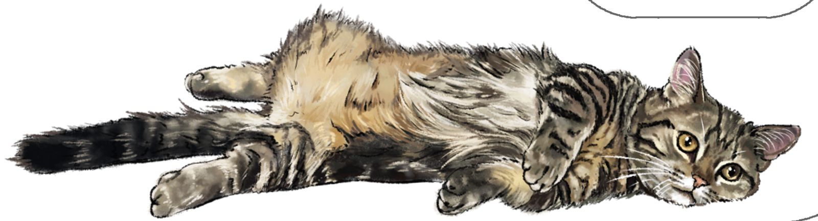 猫猫趴插画图片壁纸