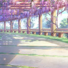 紫藤回廊